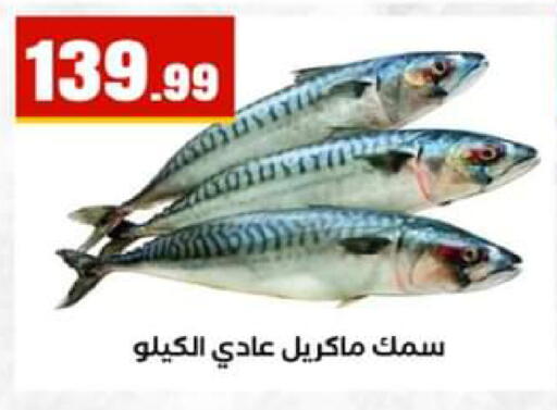 available at El Mahlawy Stores in Egypt - Cairo