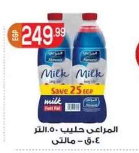 available at أولاد المحاوى in Egypt - القاهرة