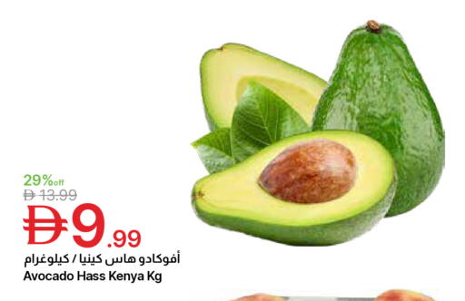 Avocado from Kenya available at جمعية الامارات التعاونية in الإمارات العربية المتحدة , الامارات - دبي