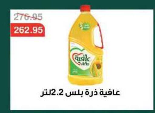available at Dlina Market in Egypt - Cairo
