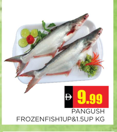 available at Ain Al Madina Hypermarket in UAE - Sharjah / Ajman