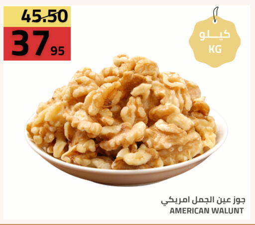 available at أسواق أسترا in مملكة العربية السعودية, السعودية, سعودية - تبوك