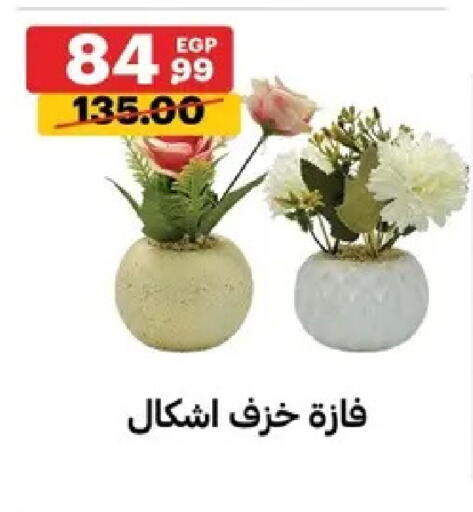 available at الحبيب ماركت in Egypt - القاهرة