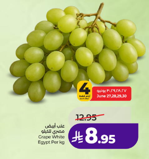 from Egypt available at لولو هايبرماركت in مملكة العربية السعودية, السعودية, سعودية - الطائف