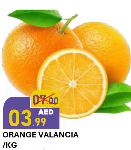 Orange from Valancia available at رويال جلف هايبرماركت in الإمارات العربية المتحدة , الامارات - أبو ظبي