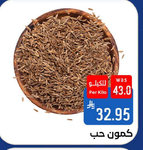 available at شبرا الطائف in مملكة العربية السعودية, السعودية, سعودية - الطائف