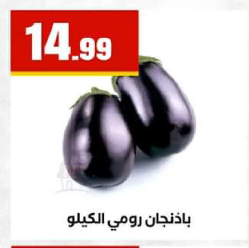 available at El Mahlawy Stores in Egypt - Cairo