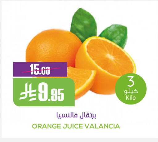Orange from Valancia available at Sapt in KSA, Saudi Arabia, Saudi - Buraidah