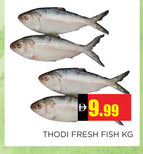 available at Ain Al Madina Hypermarket in UAE - Sharjah / Ajman