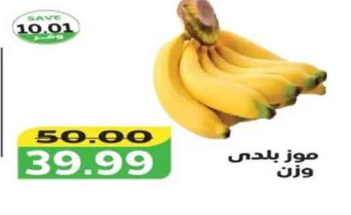 available at The Mart  in Egypt - Cairo