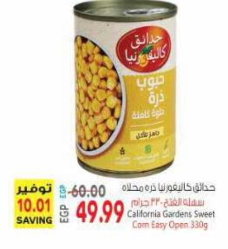 available at New.Penny.market in Egypt - Cairo