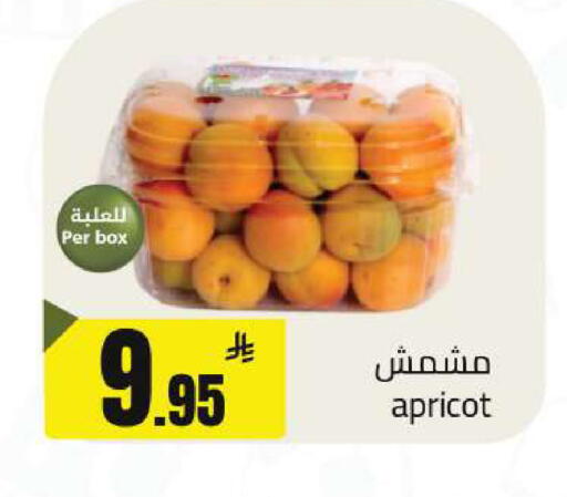 Apricot available at مخازن هايبرماركت in مملكة العربية السعودية, السعودية, سعودية - تبوك