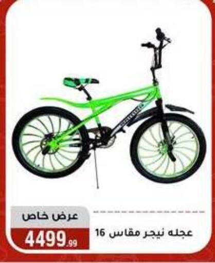 available at Al Morshedy  in Egypt - Cairo