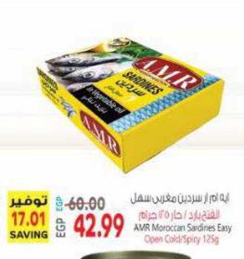 available at New.Penny.market in Egypt - Cairo