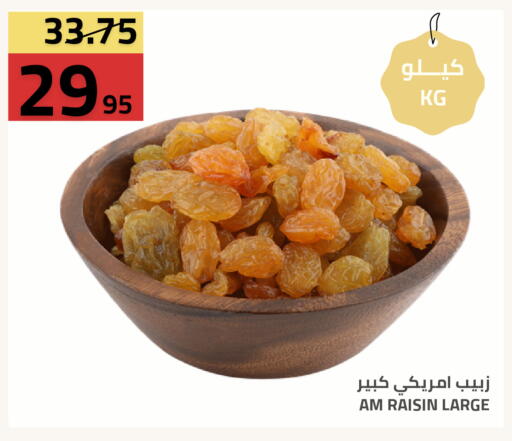 available at أسواق أسترا in مملكة العربية السعودية, السعودية, سعودية - تبوك