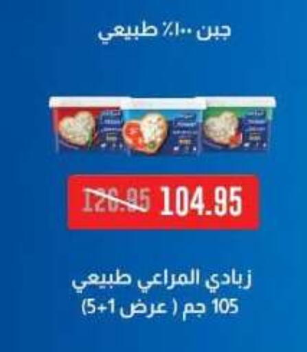 available at Dlina Market in Egypt - Cairo