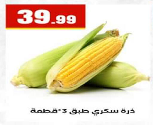 available at El Mahlawy Stores in Egypt - Cairo