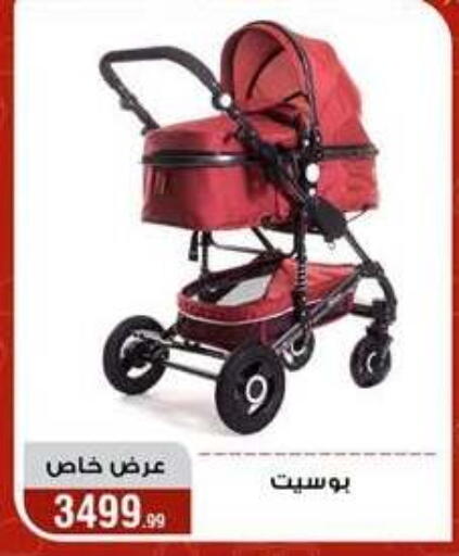 available at Al Morshedy  in Egypt - Cairo