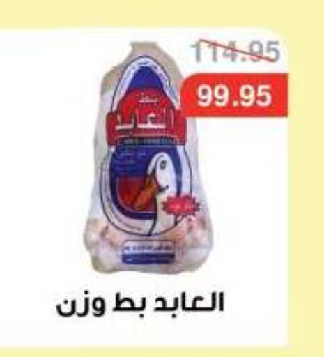 available at Dlina Market in Egypt - Cairo
