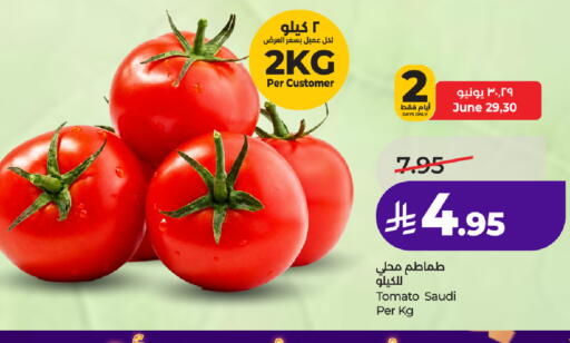 Tomato from Saudi Arabia available at لولو هايبرماركت in مملكة العربية السعودية, السعودية, سعودية - جدة