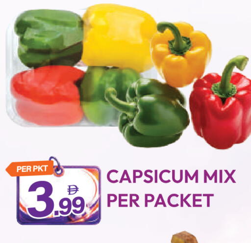 Capsicum available at دريم لاند in الإمارات العربية المتحدة , الامارات - دبي