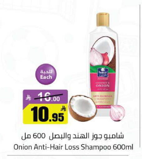 Onion available at مخازن هايبرماركت in مملكة العربية السعودية, السعودية, سعودية - تبوك