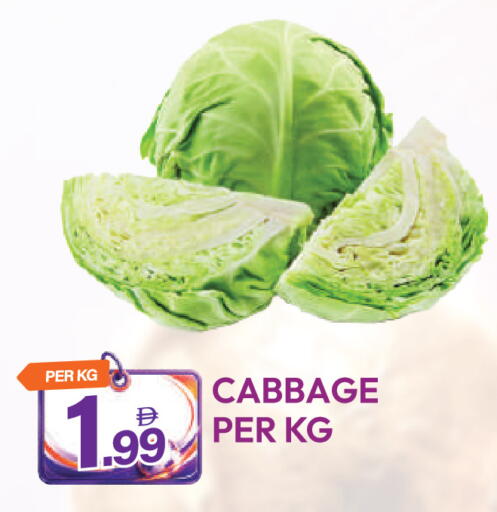 Cabbage available at دريم لاند in الإمارات العربية المتحدة , الامارات - دبي