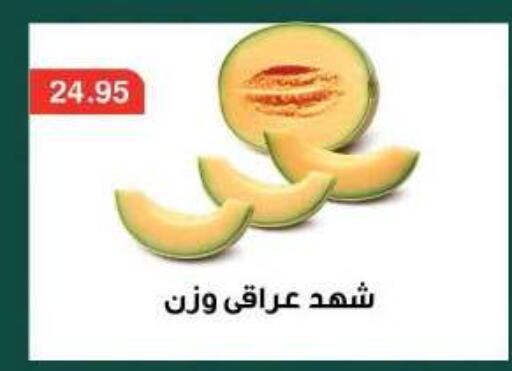 available at Dlina Market in Egypt - Cairo