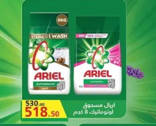 available at Al Habib Market in Egypt - Cairo