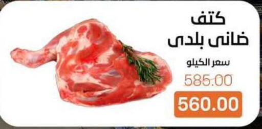 available at Beit El Gomla in Egypt - Cairo