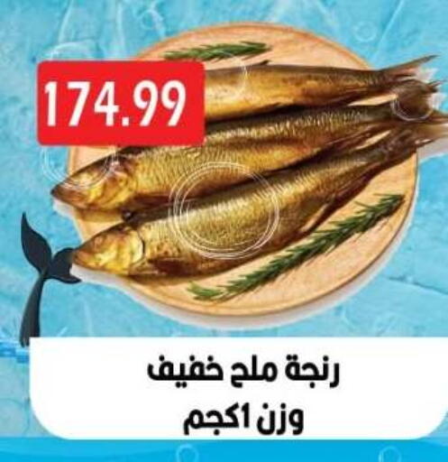 available at Euromarche in Egypt - Cairo