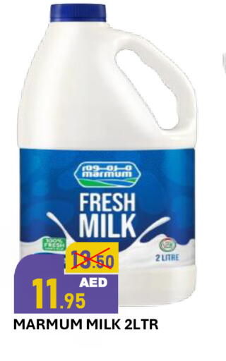 available at رويال جلف هايبرماركت in الإمارات العربية المتحدة , الامارات - أبو ظبي