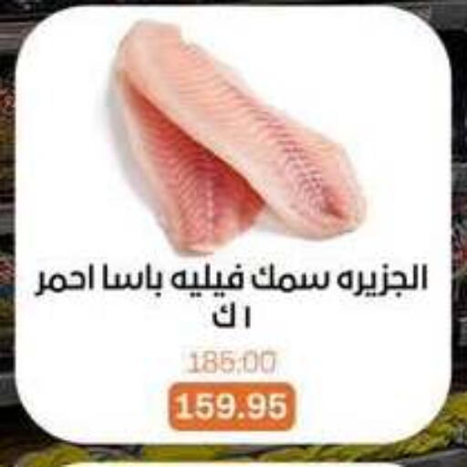 available at Beit El Gomla in Egypt - Cairo