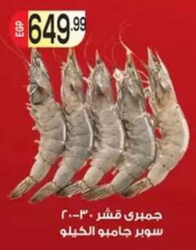 available at أولاد المحاوى in Egypt - القاهرة
