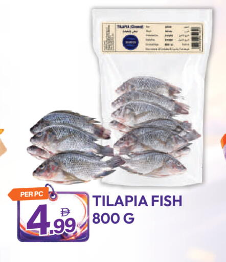 available at Dream Land in UAE - Dubai