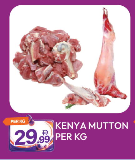 available at دريم لاند in الإمارات العربية المتحدة , الامارات - دبي