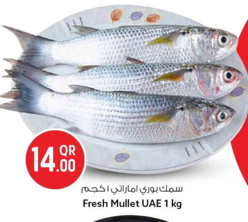 available at Safari Hypermarket in Qatar - Al Shamal