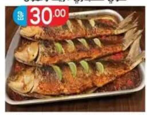 available at أولاد المحاوى in Egypt - القاهرة