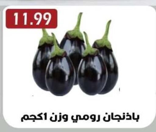 available at Euromarche in Egypt - Cairo