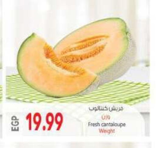 Cantaloupe available at New.Penny.market in Egypt - Cairo