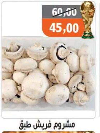 available at Hassan Son's in Egypt - Cairo