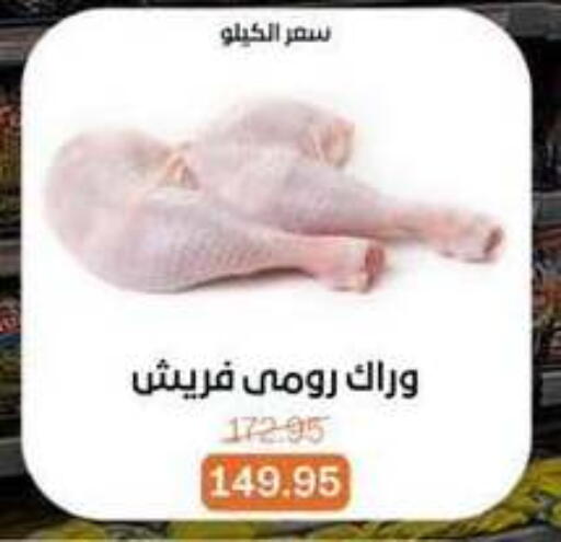 available at Beit El Gomla in Egypt - Cairo