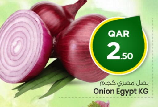 Onion from Egypt available at مارك & سيف in قطر - الدوحة