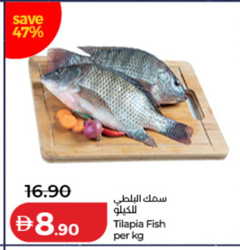available at لولو هايبرماركت in الإمارات العربية المتحدة , الامارات - رَأْس ٱلْخَيْمَة