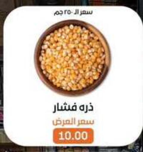 available at Beit El Gomla in Egypt - Cairo