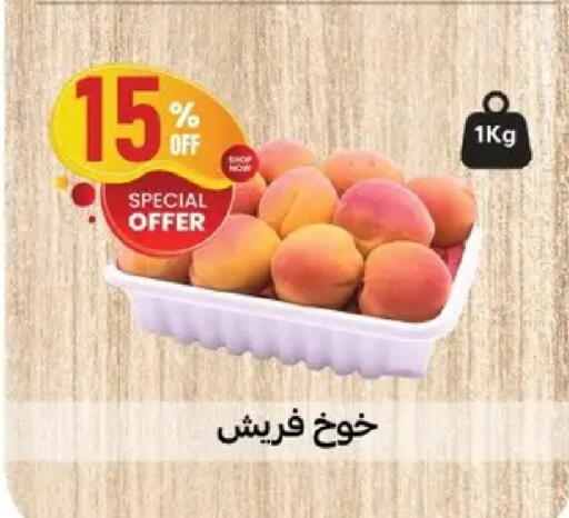 available at Al Habib Market in Egypt - Cairo