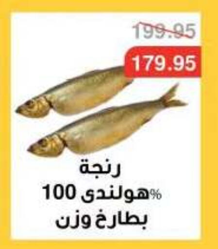 available at Dlina Market in Egypt - Cairo