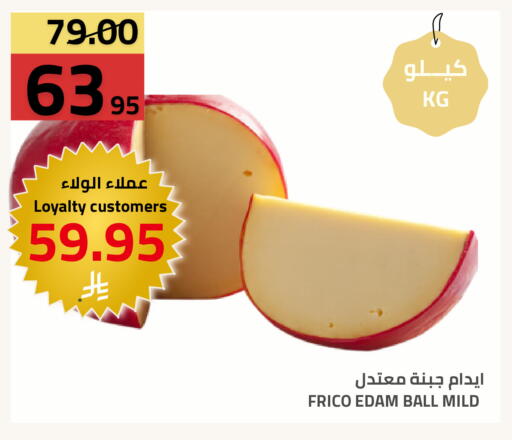 available at أسواق أسترا in مملكة العربية السعودية, السعودية, سعودية - تبوك