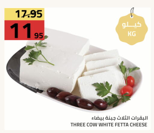 available at أسواق أسترا in مملكة العربية السعودية, السعودية, سعودية - تبوك