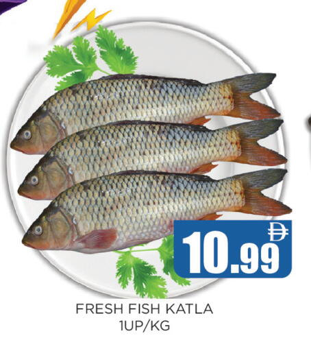 available at Ainas Al madina hypermarket in UAE - Sharjah / Ajman